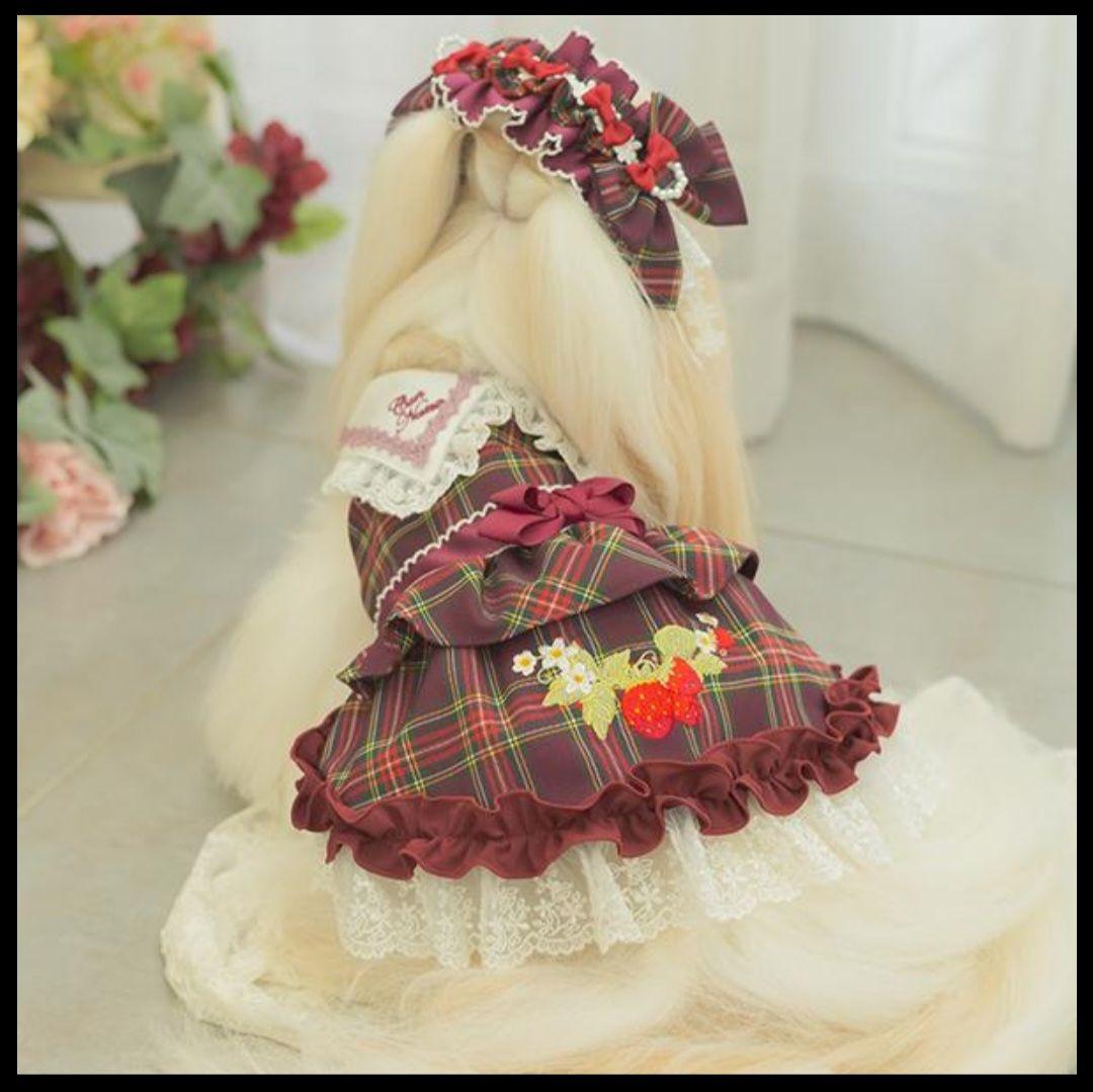 きゃんナナ　犬服　レトロいちごワンピースLサイズ