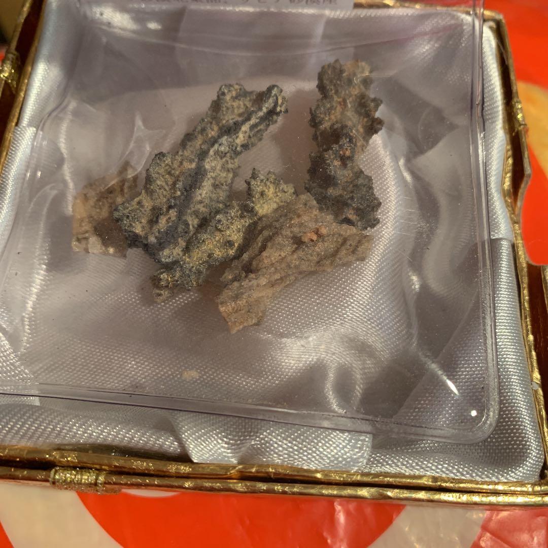 雷の化石　金の箱付き