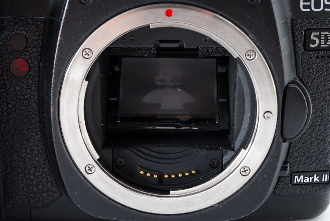Canon EOS 5D Mark II 標準&望遠ダブルレンズセット