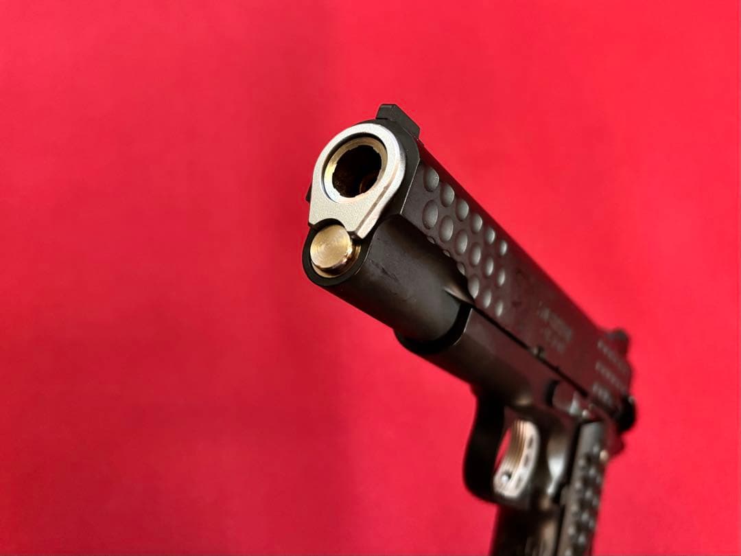 100 挺限定 KNIGHT HAWK custom ／WA