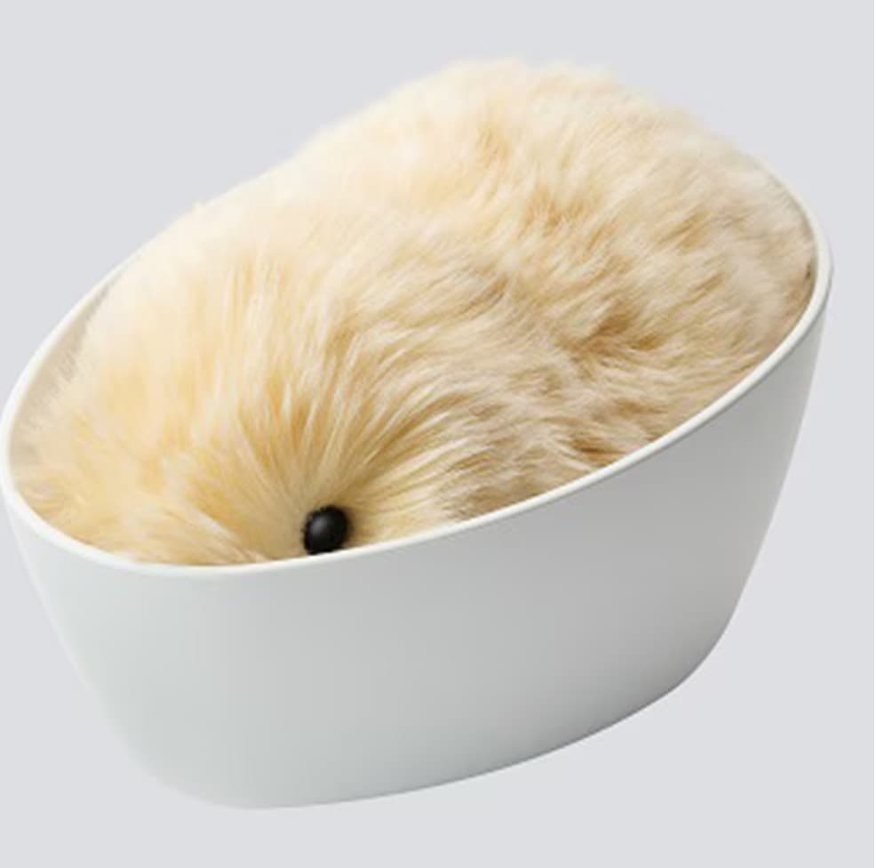 カシオ CASIO PE-M10GD モフリン AIペット ゴールド