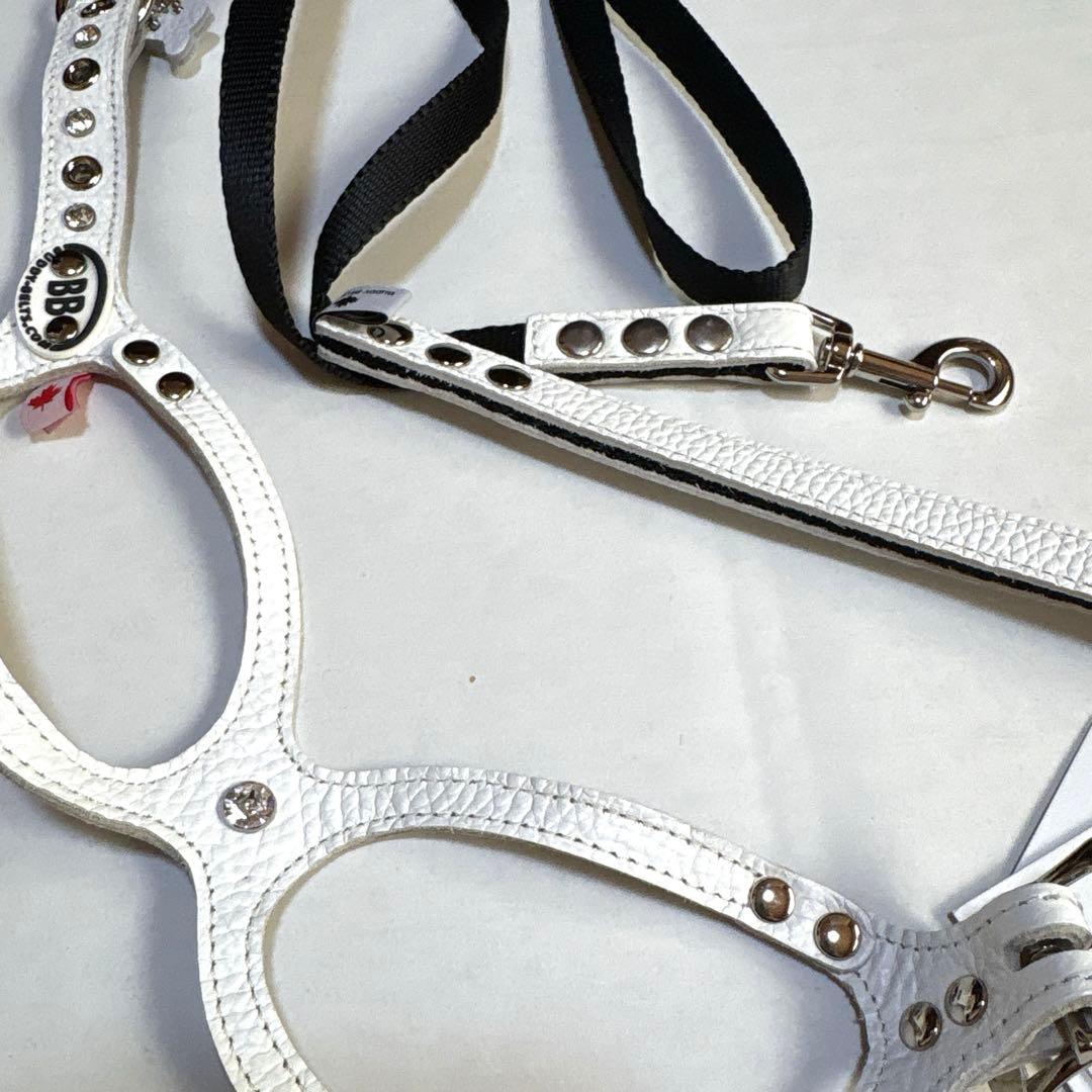 【BUDDY BELT】Whitecap ハーネスリードセット