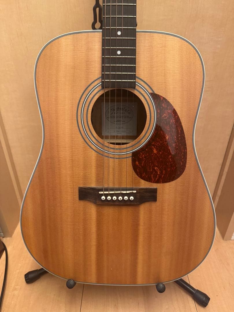 Stafford & Co エレキアコースティックギター