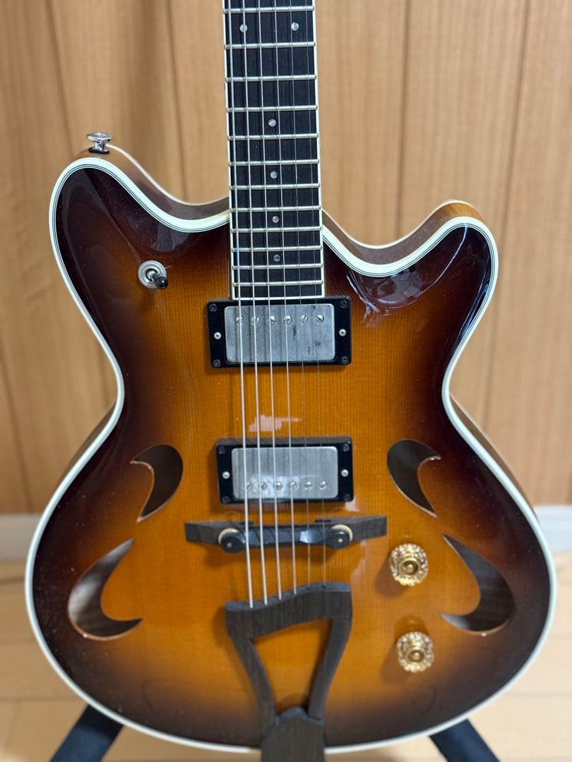 T’s guitars Arc Hollow Jazz