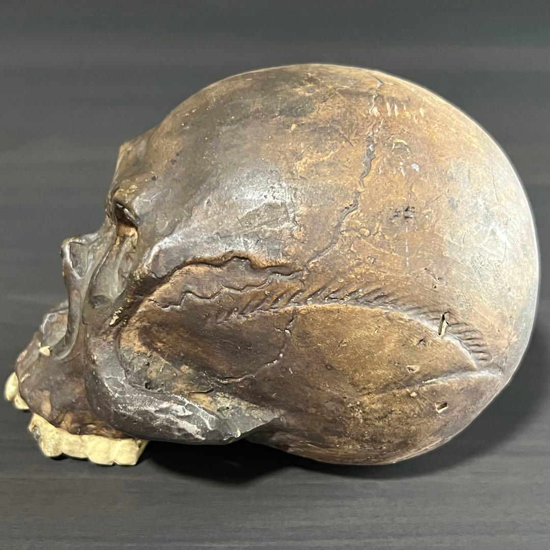 ビンテージ スカル 髑髏 陶磁器 野晒し しゃれこうべ ドクロ 置物 年代物