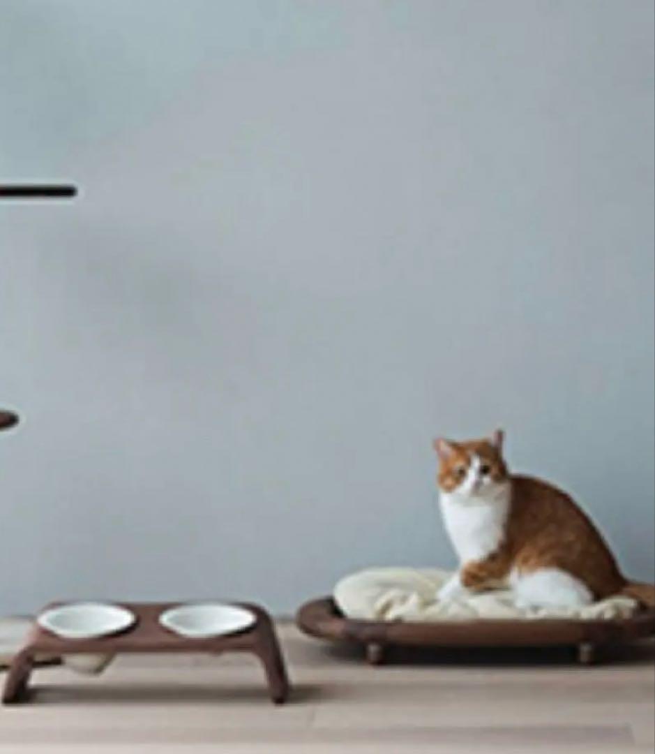 【新品】KARIMOKU CAT木製家具ウォールナット3点セット（限定出品）