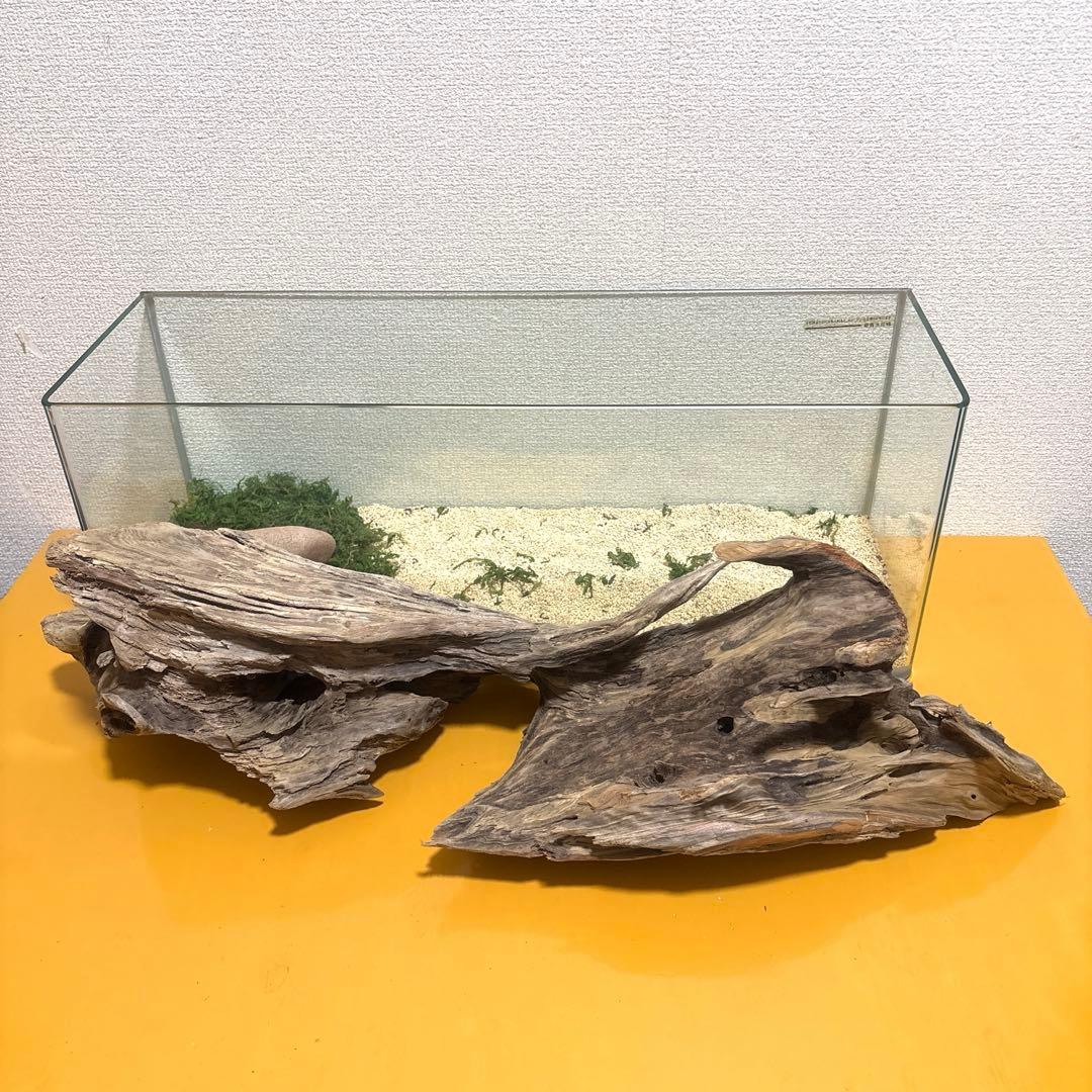 Ｇ67 流木　爬虫類　両生類シェルター　バスキング　観葉植物　インテリア　その他