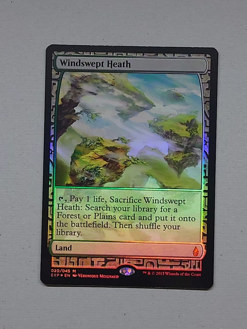 吹きさらしの荒野 [EXP] ゼンディカーエクスペディション Foil