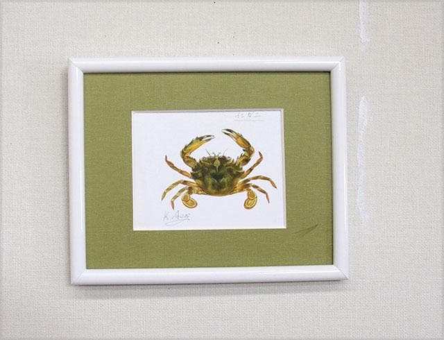 生物細密画（水彩）「イシガニ