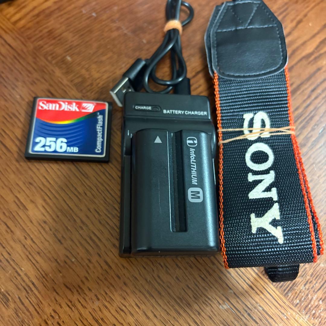 デビューに最適　SONY a200 ソニー　レンズフルセット