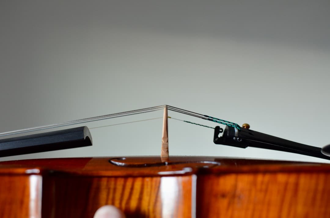 【最上位 新品】Gliga Vasile Maestro バイオリン 4/4