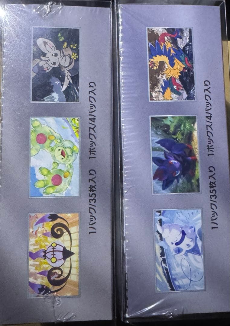 拡張パックデラックス ブラックボルトホワイトフレア各1シュリンク&硬質ケース付き