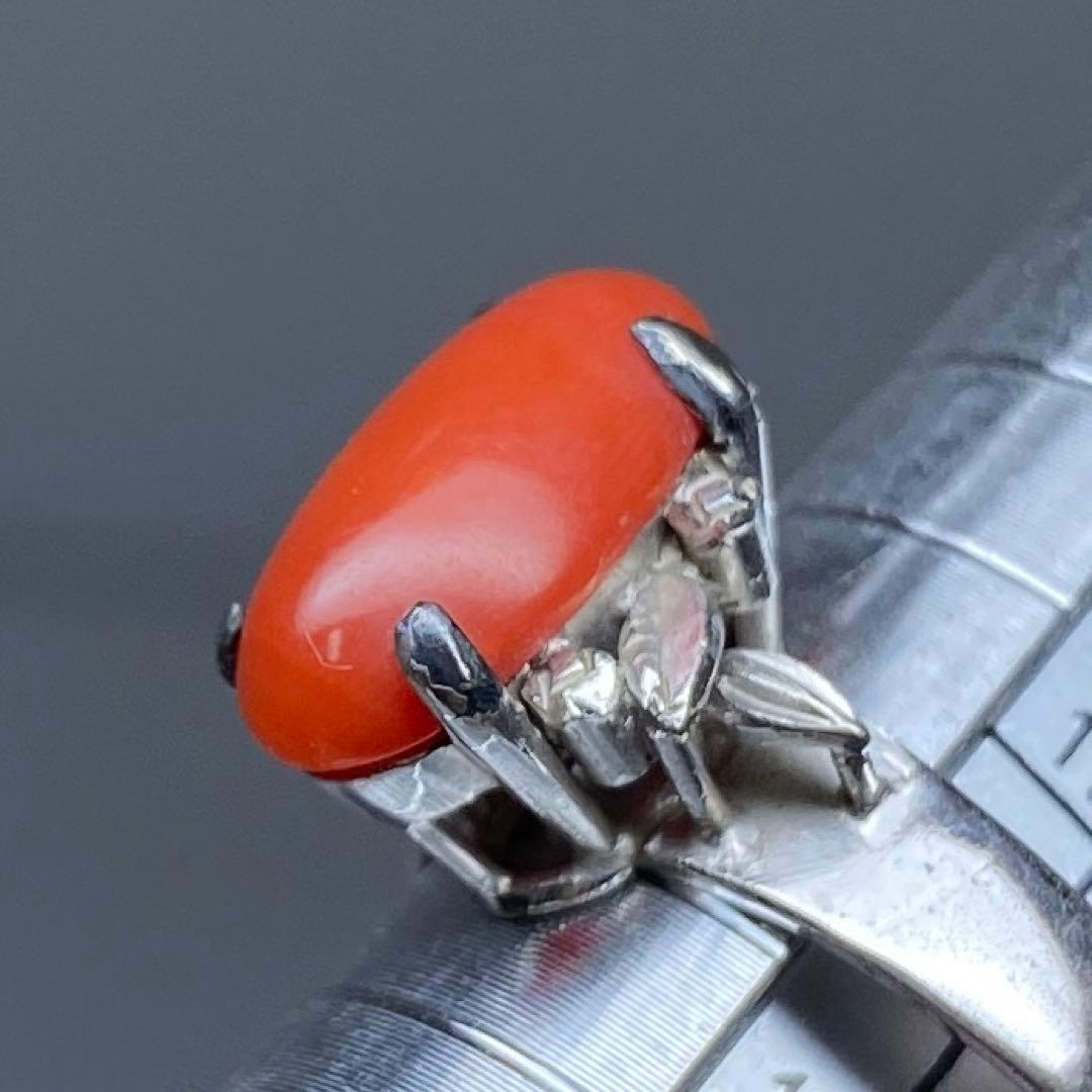 本血赤珊瑚　指輪、ネックレストップ等　15g 東Y7-0226☆2Fタカチ