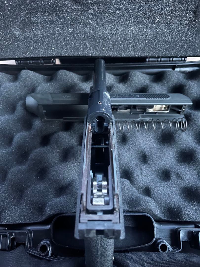 タニオコバ：VP70M