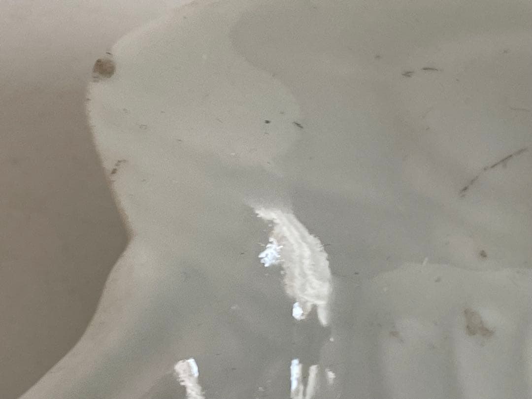 骨董　アンティーク　古伊万里　白磁　鳥形　小皿　変形皿　小鳥　白磁皿　5枚