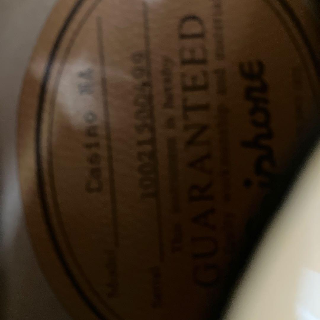 エピフォンカジノNA ビグズビー