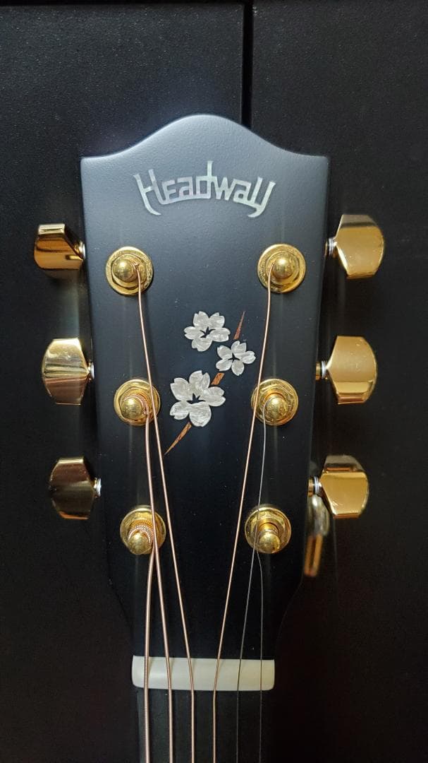 HD-SAKURA’21 F,S/STD