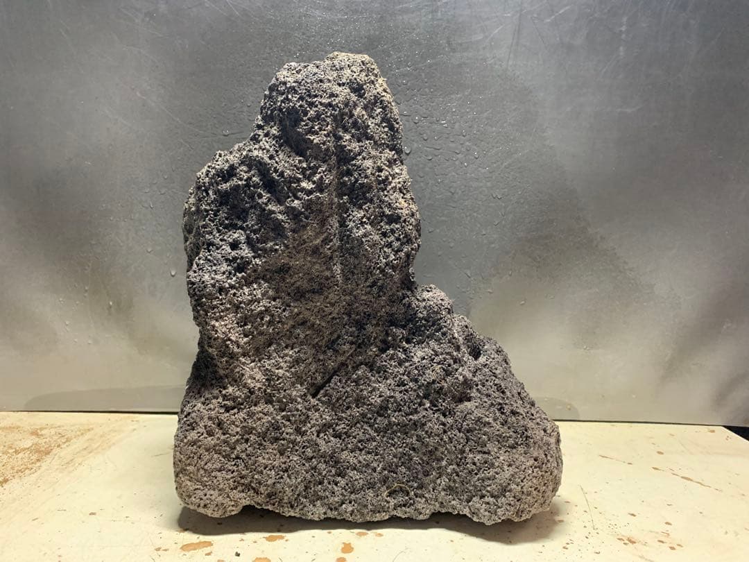 1[絶版]ADA雲山石★穴3個　水槽　石組　アクアリウム　レイアウト　熱帯魚