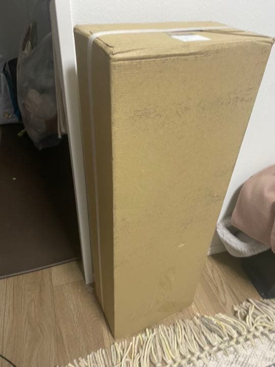 dyson SV12 FF  v10 fluffy ダイソン　新品未使用！