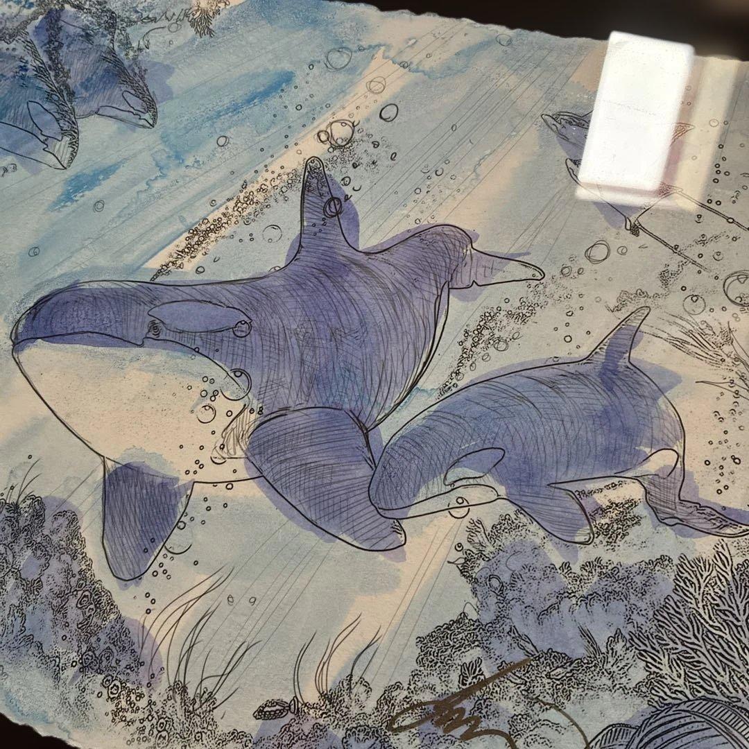 ラッセン直筆スケッチ　シャチ