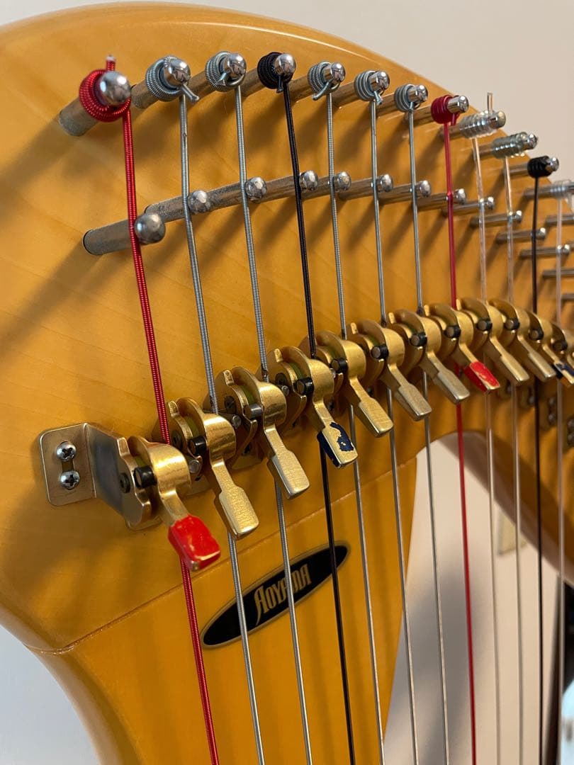 弦楽器 Aoyama Harp The 130N