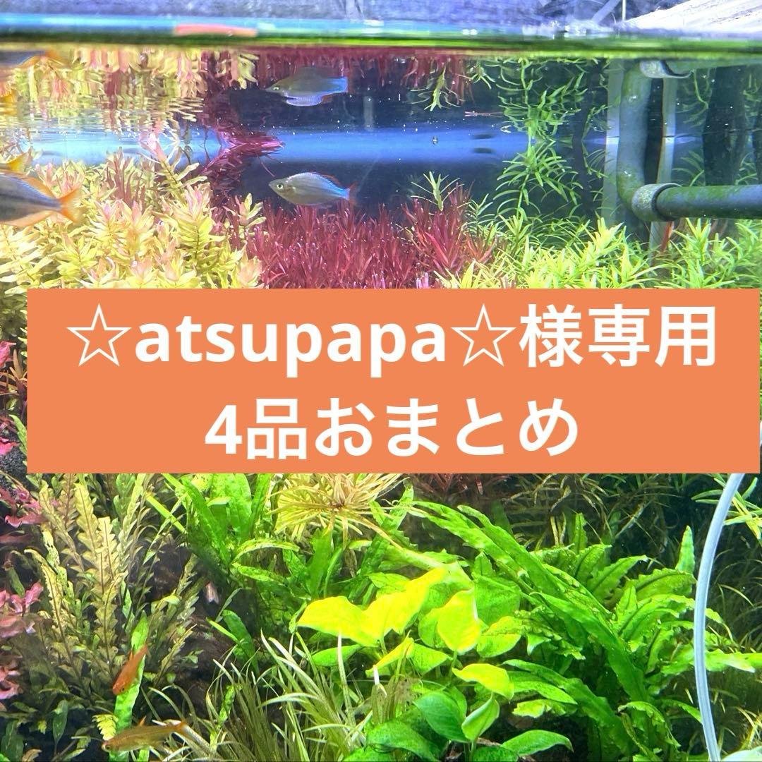 ☆atsupapa☆4品おまとめ