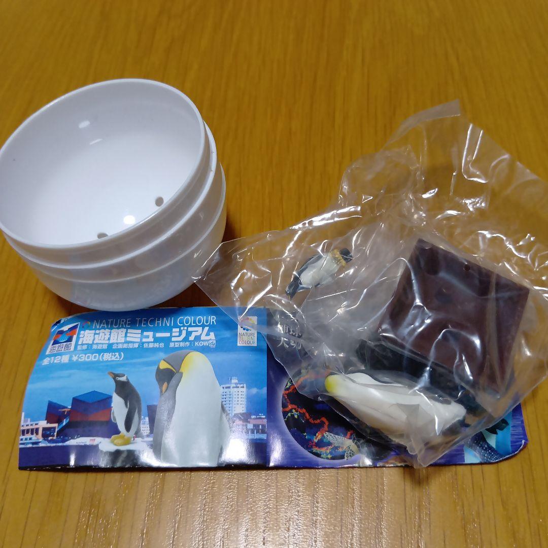 ネイチャーテクニカラー フィギュア 海遊館ミュージアム限定　全12種　新品