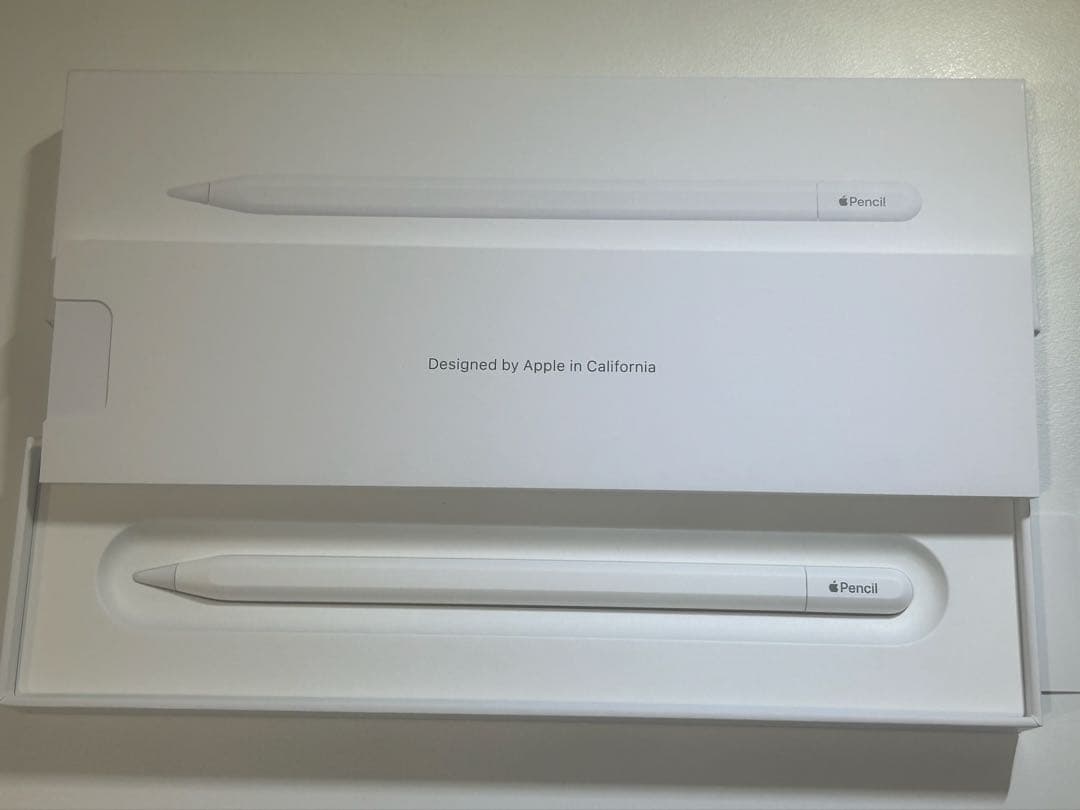 Apple Pencil USB-C typeC タイプC 純正