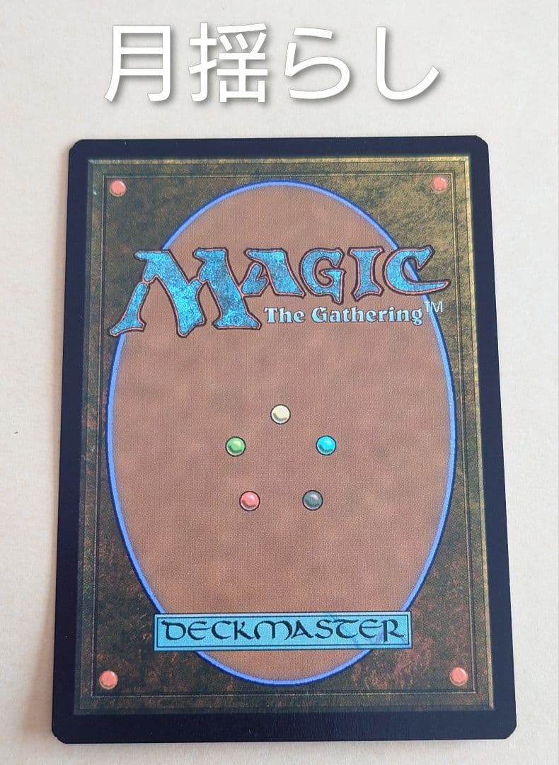 月揺らしの騎兵隊/Moonshaker Cavalry　ストアチャンピオンシップ