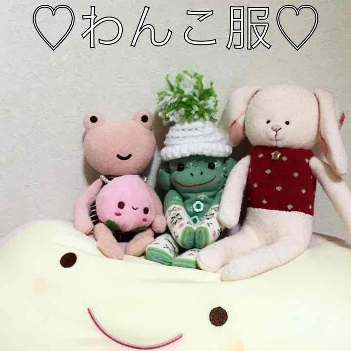 るぃたま@様♡わんこ服♡専用