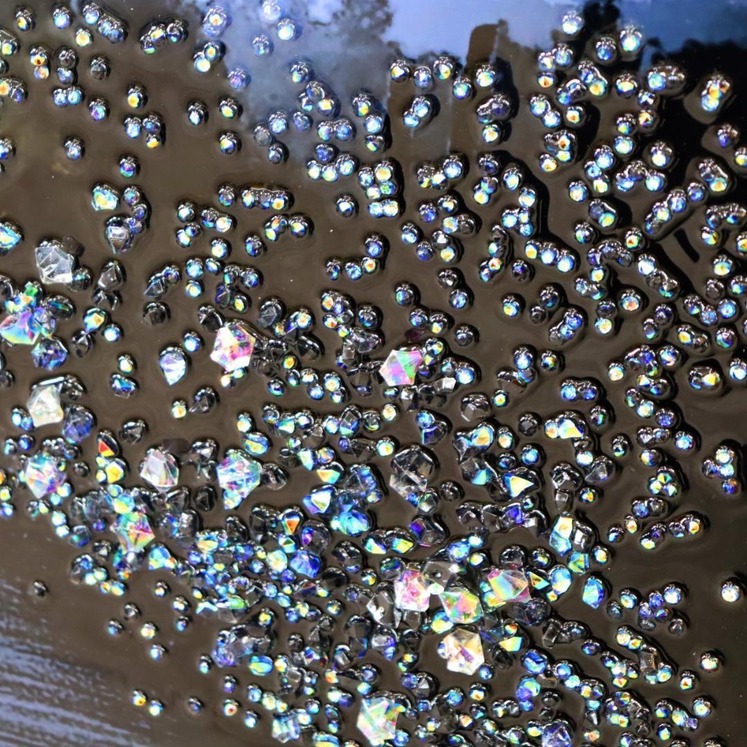 アートフレーム サバンナ/象 絵画 クリスタルピクチャー