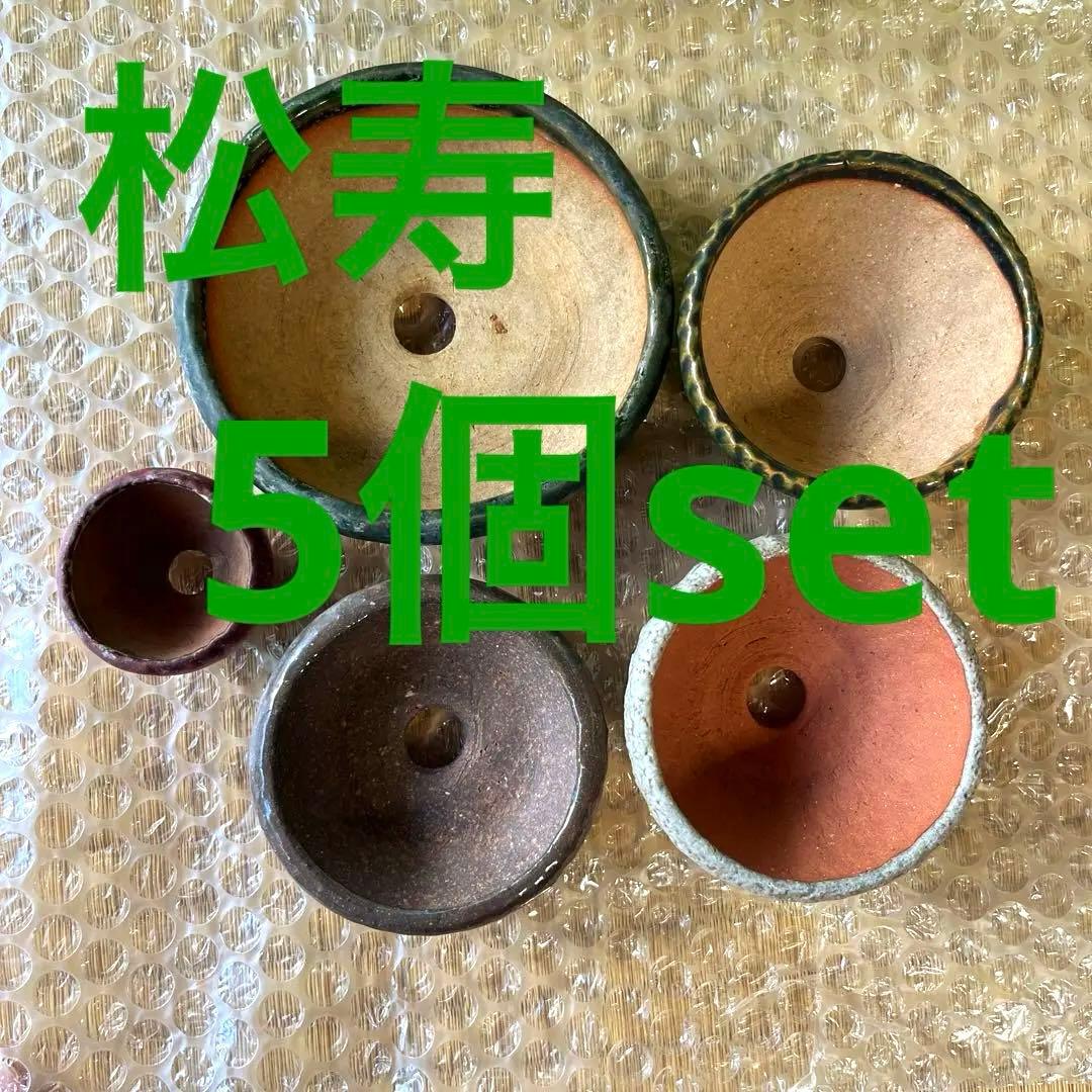 松寿　小品　盆栽鉢　レトロ　5個セット　(A5)