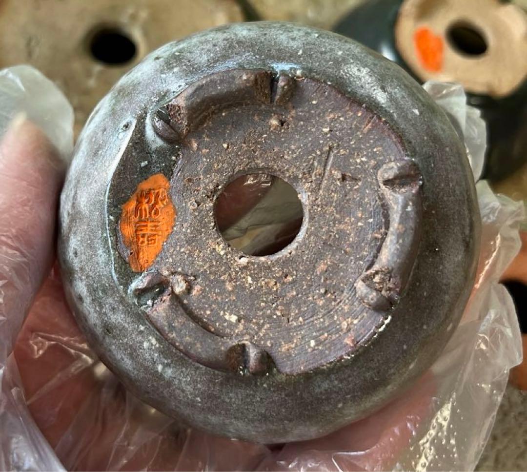 松寿　小品　盆栽鉢　レトロ　5個セット　(A5)