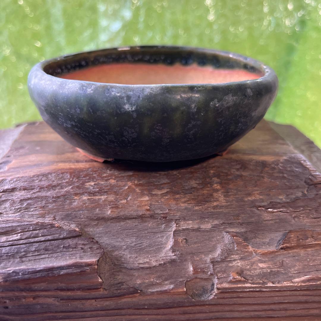 松寿　小品　盆栽鉢　レトロ　5個セット　(A5)