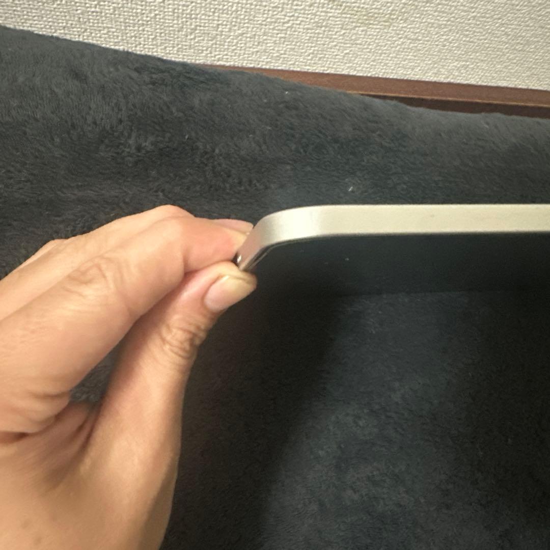 Apple iPad Pro 11インチ シルバー 本体