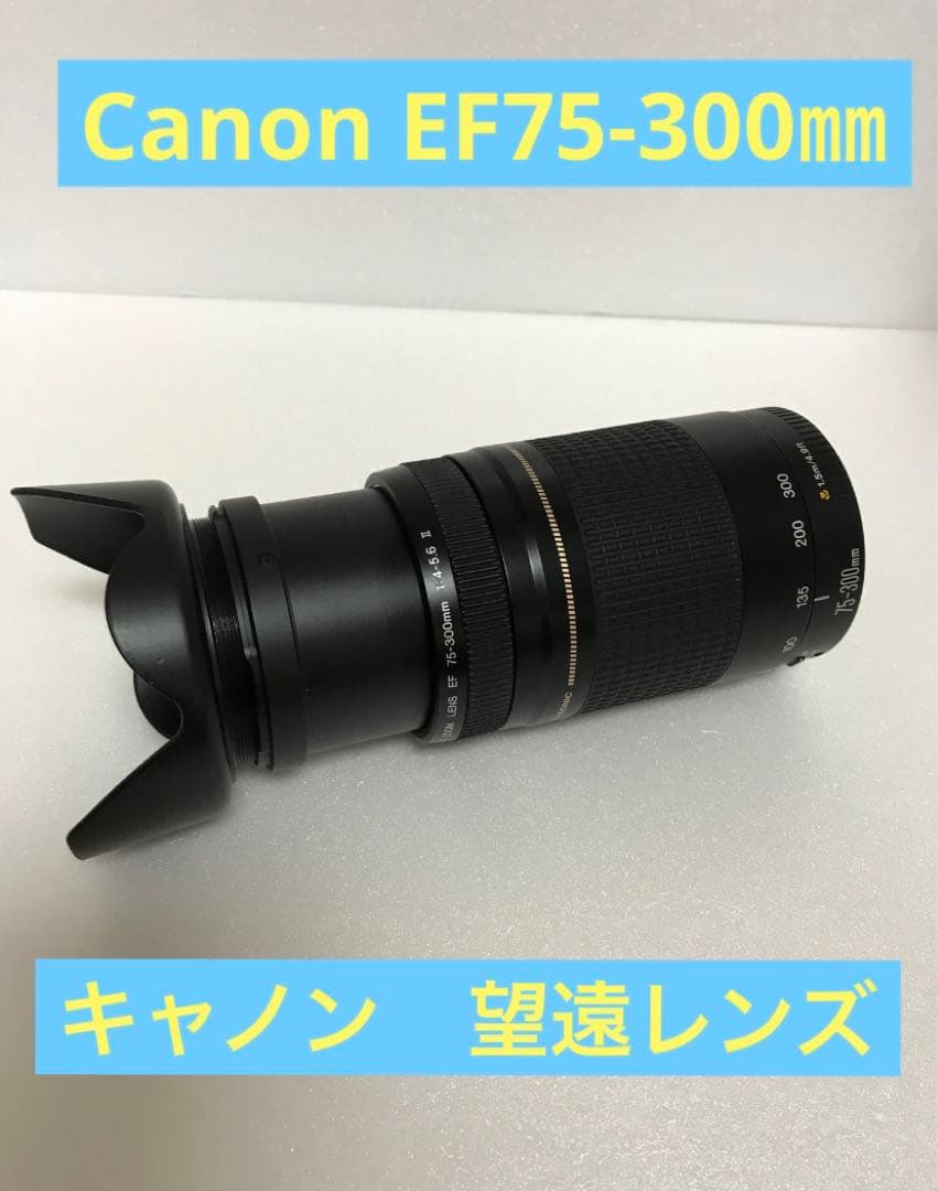 運動会/キャノン/イベント/Canon EF75-300㎜ F4-5.6 II