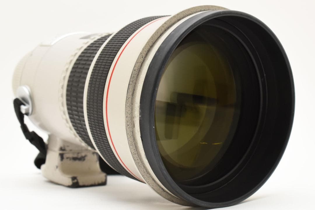 Canon EF 300mm f/2.8 L USM 望遠レンズ #1955