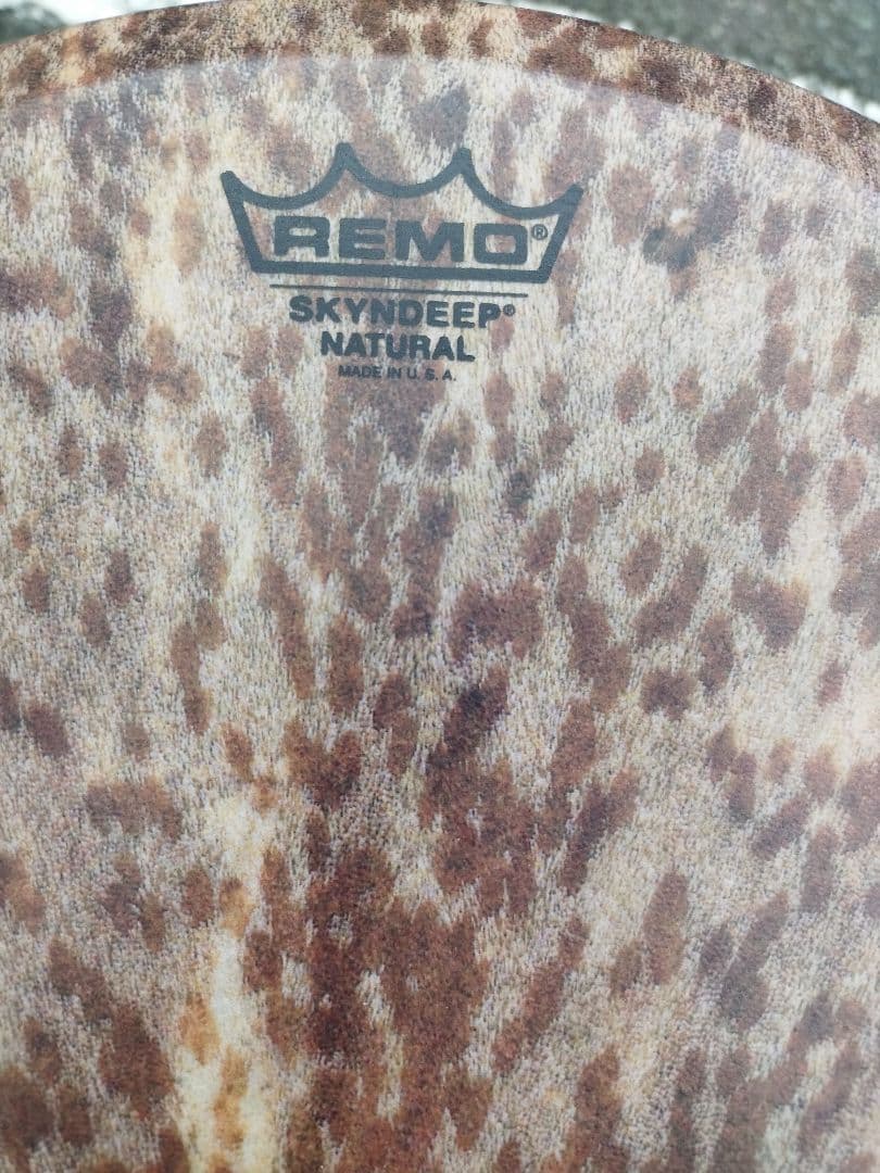 インフィニティージャンベ14\" （REMO レモ）