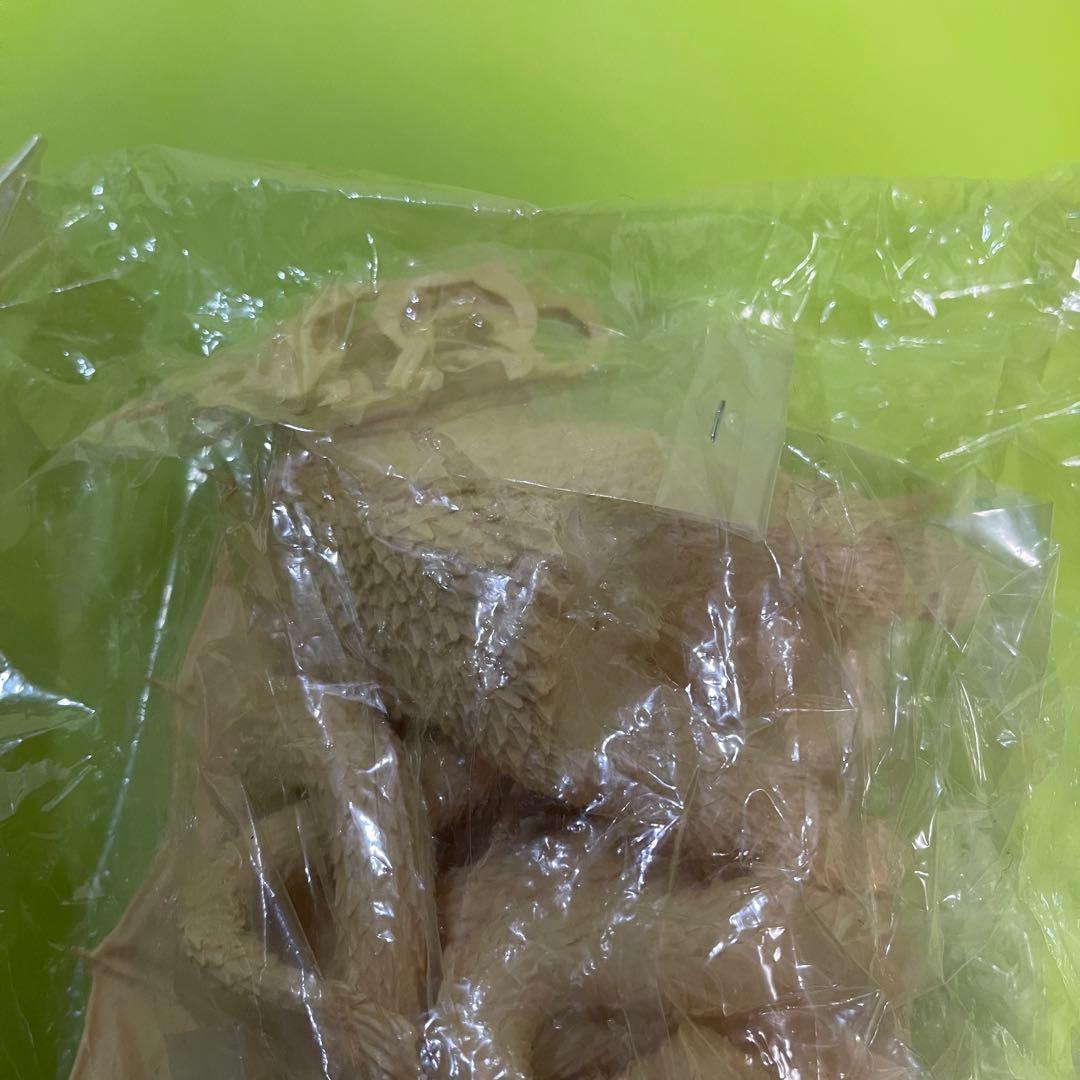 海洋堂　キングギドラ 1/350スケール レジンキャストモデルキット フィギュア