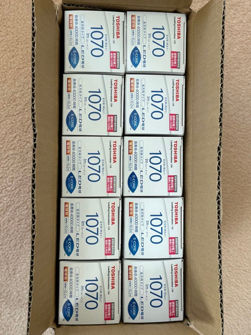 東芝TOSHIBA LED電球 LDT10L-G/S E26 10個セット