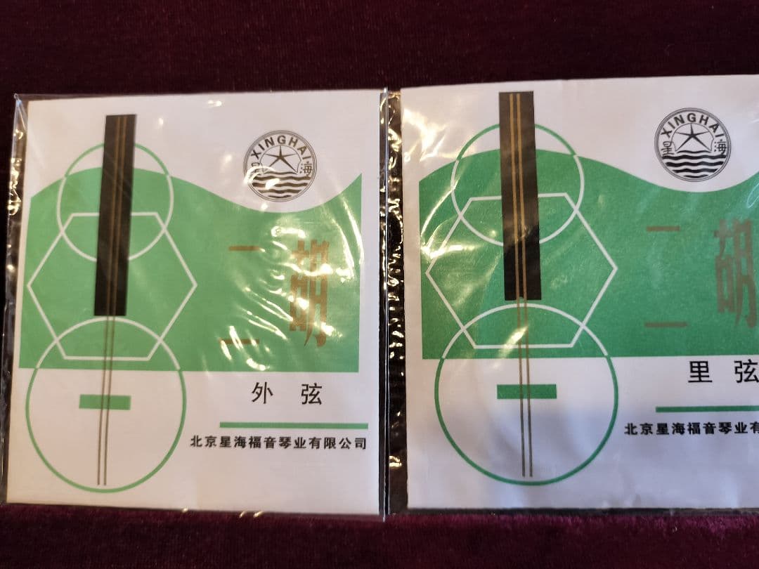 付属品充実！二胡本体と一式 ケース・教本DVD付き