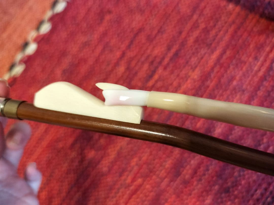 付属品充実！二胡本体と一式 ケース・教本DVD付き