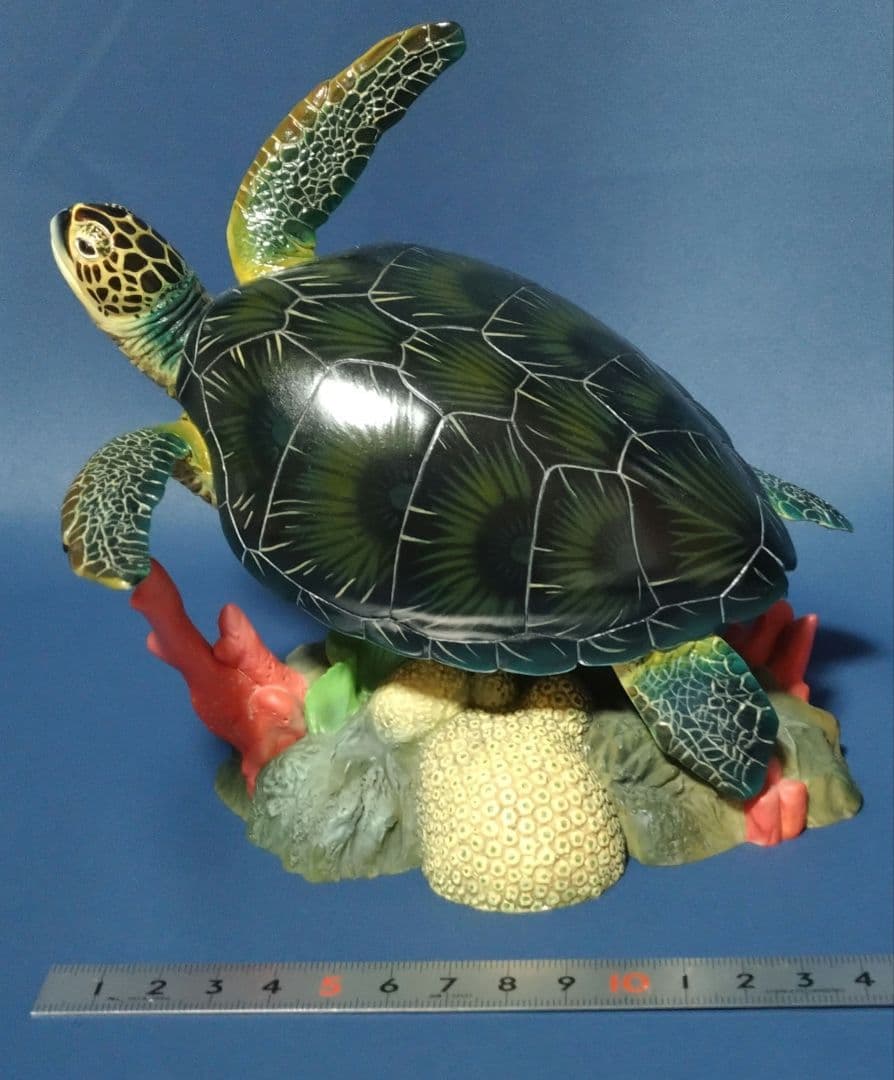 海洋堂　Naturetales アオウミガメ