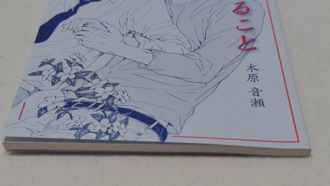 美しいこと続編　愛すること　木原音瀬　中古　美しいこと上下巻　ポストカード付き