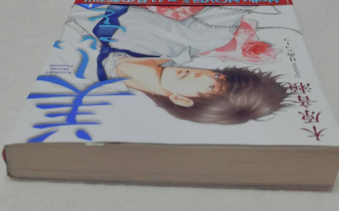 美しいこと続編　愛すること　木原音瀬　中古　美しいこと上下巻　ポストカード付き