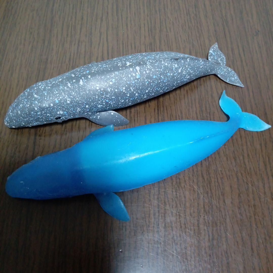 クジラアンドコー コンプリート