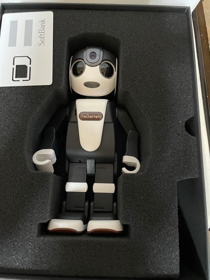 紙*船様 夏休みにどうですかぁ！ ロボホン　SHARP