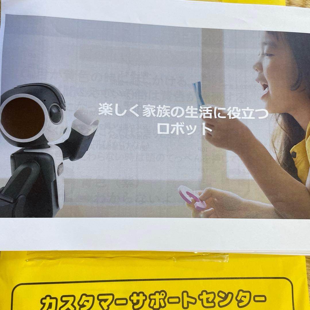 紙*船様 夏休みにどうですかぁ！ ロボホン　SHARP