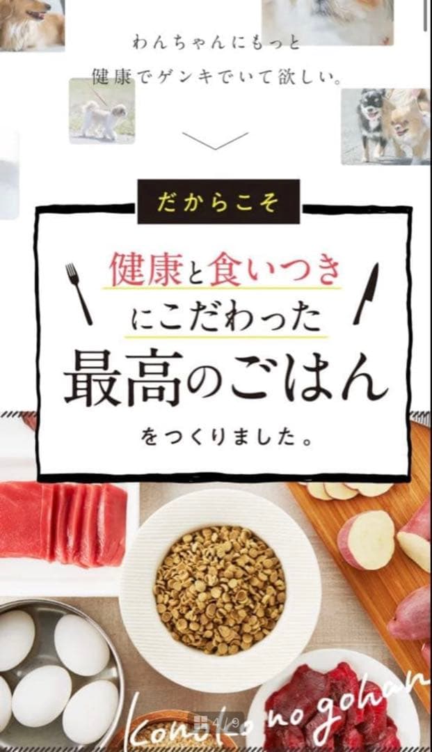 このこのごはん 1kg×2袋　＋チュールのおまけ