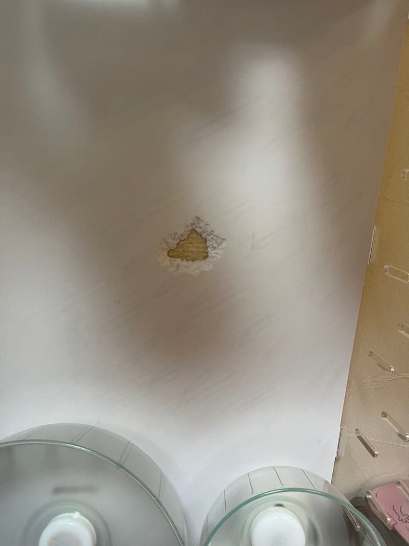 アクリル製中型飼育ケージ　穴あり